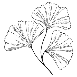 Untitled design (4)